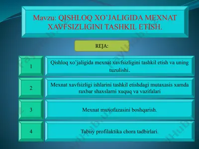 qishloq xo’jaligida mexnat xavfsizligini tashkil etish — PPTX