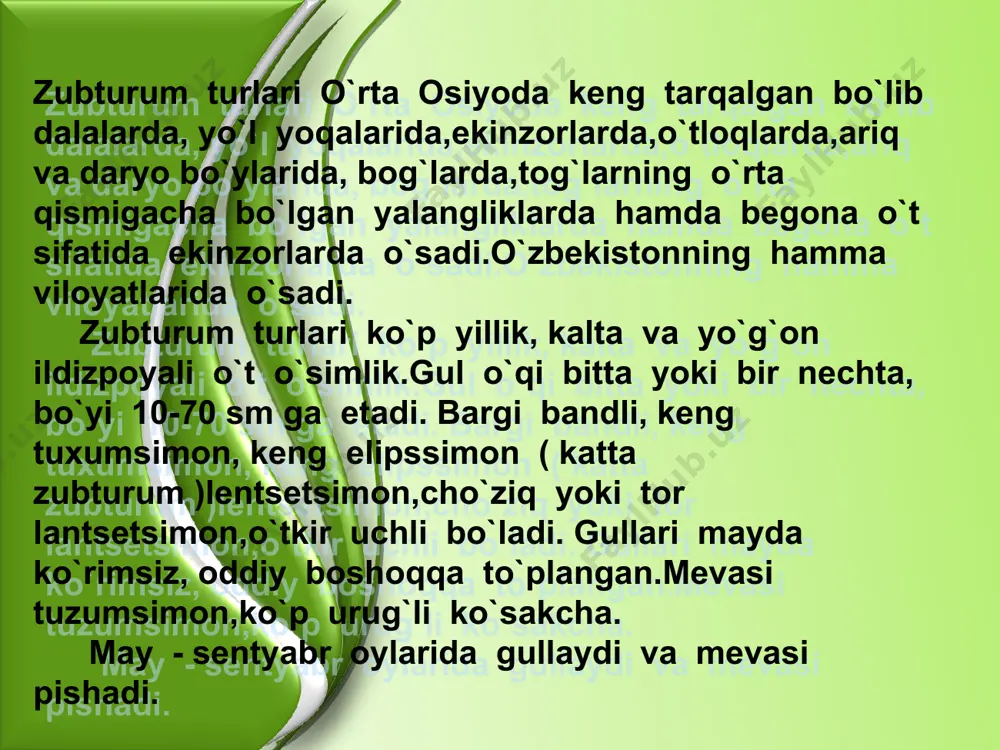 qo`ypechak (convolvulus arvensis) - Page 5