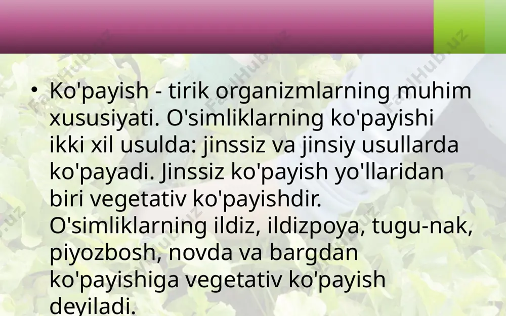 m chiptalar bilan bog'lab qo'yiladi. payvandlash uchun dastlab payvandtag po'stlog'i o'tkir pichoq bilan «t» harfi shaklida kesiladi. kesilgan joy po'stlog'i asta-sekin keriladi. ulanadigan kurtak biroz po'stloq va yog'ochligi bilan birga kesib olinadi va pay-vandtagdagi ochilgan po'stloq orasiga joylanadi, so'ngra yuqoridan pastga qarab chipta bilan o'rab bog'lanadi. pay-vand qilingan kurtaklarning tutgan-tutmaganligi 6-10 kun-da bilinadi. kurtagidan payvandlash, asosan, avgust oyida o'tkaziladi. savol va topshiriqlar tok, anjir, anor, jiyda va terakni qalamchasidan ko'paytirish uchun nima qilish kerak? qalamchalar o'sib chiqishi uchun qanday sharoit zarur? kurtak payvand qanday qilinadi? image2.jpeg image3.png image4.jpeg image5.jpeg image6.jpeg image7.jpeg image8.jpeg image9.jpeg image10.jpeg image11.jpeg image12.jpeg image13.jpeg image14.png image15.jpeg image16.jpeg image1.jpeg