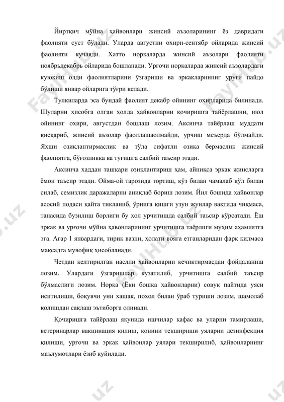 ириши мумкин. норкаларнинг жуфтланиши бир неча усулда ўтказилади. а) эркак орқалар асралиб боқилаётган шеднинг ўрталигида бир жойга йиғилади, урғочилари алоҳида туради. ҳайвонбоқар ҳар бир белгиланган урғочига эркак ҳайвонини олиб бориб беркитади ва уларни ҳолатини кузатади, агар улар узоқ вақт талашса ёки этиборсиз туришса улар алмаштирилади. б) эркак норкалар шеднинг бир неча жойига гуруҳ-гуруҳ қилиб жойлаштирилади. бунда анча меҳнат осонлашсада, уларнинг хулқини ўзаро солиштириб кузатиш анча қийинлашади. в) эркак норкалар беш бошдан шеднинг ҳар хил жойидаги урғочилари учун белгиланган гуруҳ бўйича жойлаштирилади. назорат учун ҳайвонбоқар бутун шед бўйича юриб туришга тўғри келади. г) норкачиликда қочиришнинг "қувурли" усули қўлланилади. бунда махсус 6 дона тўрсимон қафаслар озиқлантириш йўналиши бўйича бирлаштирилган бўлиб, кувурлар кесими 15 х 15 см. бундай ҳар бир қафаснинг турсимон кувурига очилувчи ва ёпилувчи дарчаси бўлади. 1 тасида эркак ва 5 тасида урғочилари жойлаштирилиб, ўзига беркитилган режали урғочисига қувур дарчаси орқали беркитилиб ажратилиб қўйилади. агар урғочиси куйикишга келган бўлса, жуфтлашса, шундан …