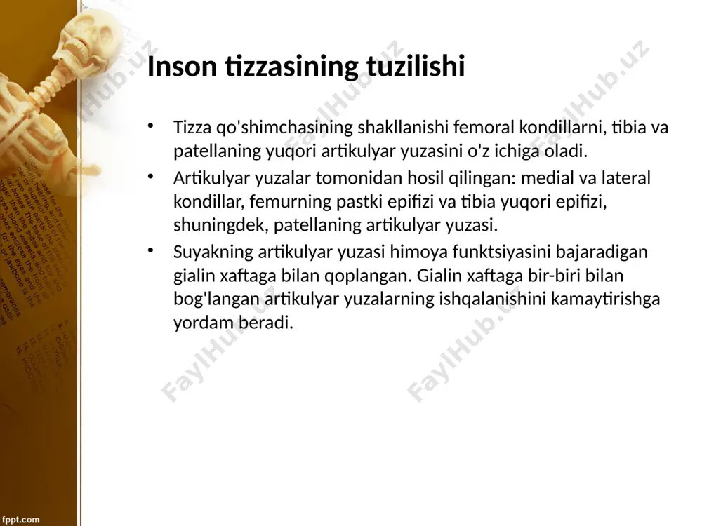 iyasi hosil bo'lib, bo'g'im bo'shlig'ini oshiradi va yallig'lanish jarayonlarida ular yiring, qon bo'lishi mumkin. , va seroz suyuqlik to'planadi. tizza ligamentlari k.lar ligamentlari odatda ikki guruhga boʻlinadi: -tashqi -bo'g'im ichidagi tiz bo'g'imining tashqi ligamentlari: - fibulyar kollateral ligament; - tibial kollateral ligament; - oblique popliteal ligament; - yoysimon popliteal ligament; - patellar ligament; - medial va lateral patellaning suspensor ligamentlari image2.jpeg image3.jpeg image4.jpeg image5.jpeg image6.jpeg image1.jpeg /docprops/thumbnail.jpeg