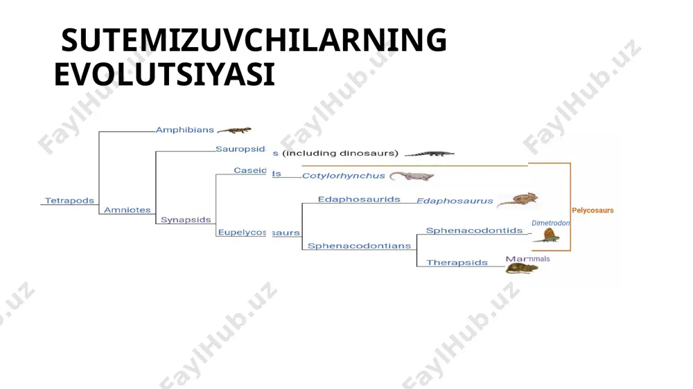sutemizuvchilarning kelib chiqishi - Page 4