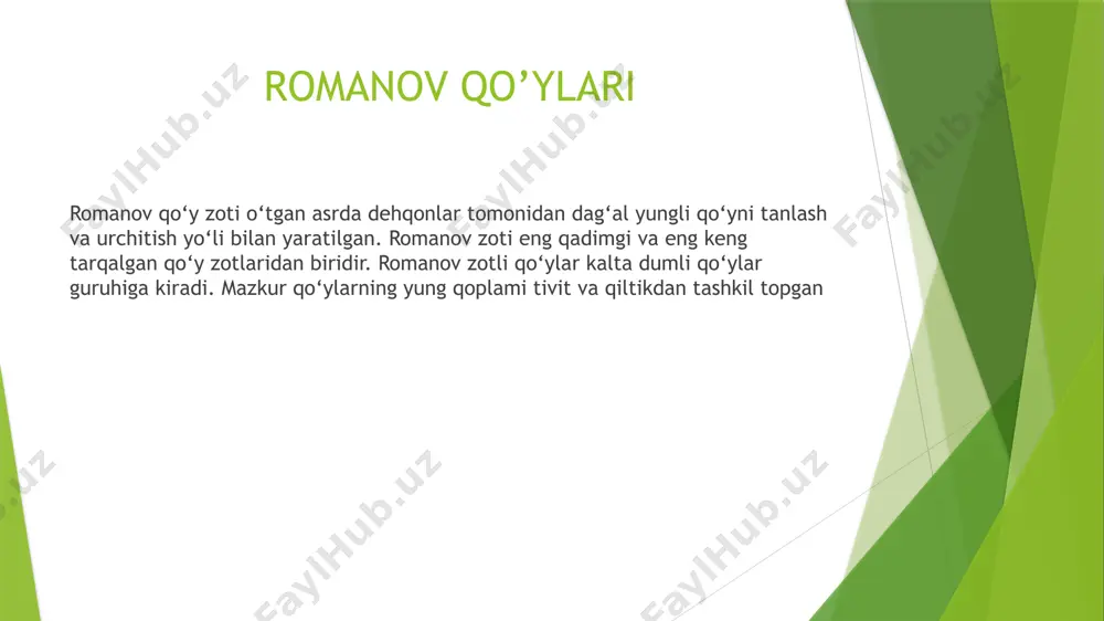 ngli qo'ylarda (jigarrang, pushti, semur). ushbu turdagi qo'ylar bir yil yoshga to'lgan va sochlar deyarli 1,5 yoshgacha bo'lgan. qora qorako'l qo'ylarini yotqizish jarayoni sekinroq. bir yil o'tgach, qora sochlar jigarrang yoki malla qolasni egallaydi, faqat ba'zi hayvonlarning birida mujtajlar sochlari. 1,5 yoshga kelib, yotqizish darajasi oshadi va 2-2,5 yilgacha, ko'p qo'ylar kul rangga aylanadi. yuzdagi sochlar, quloqlar va oyoqlari tug'ilganda bo'lgan ranglarni saqlab qoladi. tananing belgilangan qismlarida shafqatsiz sochlarning rangi kattalar karakul qo'ylarining kostyumining asosiy ko'rsatkichi hisoblanadi. qorakul motobening o'rtacha vazni 40-45 kg; tribal rams - 65-80 kg va individual hayvonlar - 60-70 kg. yangi tug'ilgan qo'zilari 4,0-4,5 kg. qorako'l qo'ylarining unumdorligi past - 105-110%. qorako'l qo'ylarining asosiy mahsulotlari - qorako'l terilari. bu bilan bir qatorda qorako'l qo'ylardan, sut, go'sht, jun, qo'y terisi, shuchi tomonidan olingan. modulning sut mahsuldorligidan oqilona foydalanish bilan, ular doodle ishlab chiqarish uchun ishlatiladi, bu sohaning hosilini sezilarli darajada oshirishi mumkin va asosiysi sut ishlab chiqarish, …