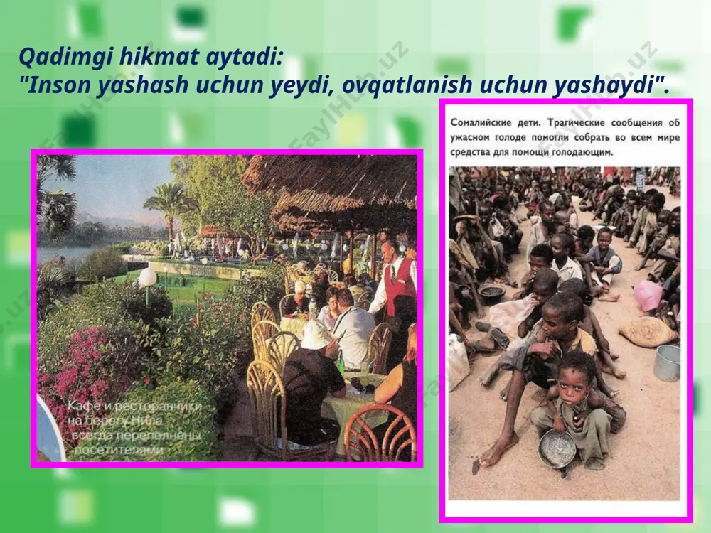 irish. intensiv yo'l insoniyatning oziq-ovqat muammosini hal qilishning asosiy yo'lidir. image2.jpeg image3.jpeg image4.jpeg image5.jpeg image6.jpeg image7.png image8.jpeg image9.jpeg image10.jpeg image11.jpeg image1.jpeg
