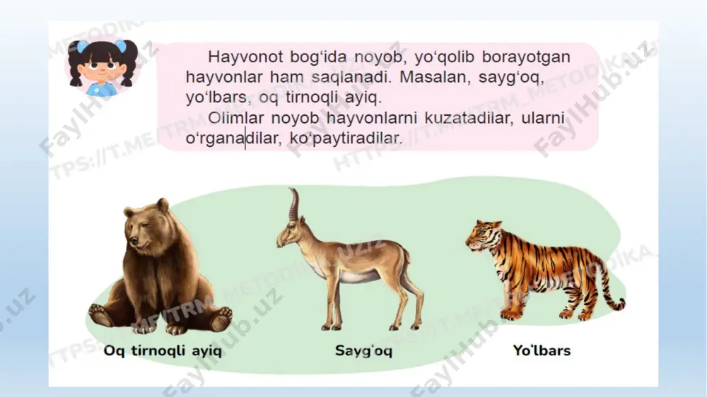 hayvonot bog‘i nima? - Page 3