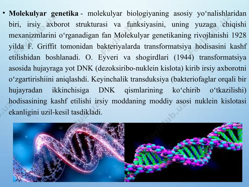 ekulyar darajada oʻrganadigan fan. molekulyar biologiyaning muhim yoʻnalishlariga irsiy axborotni amalga oshirish mexanizmlari va hujayraning genetik apparati strukturasi hamda funksional tuzilishini tekshirish (molekulyar genetika), viruslarning hujayra bilan oʻzaro taʼsiri mexanizmlarini oʻrganish (molekulyar virusologiya, organizmning immun reaksiyalari qonuniyatlarini aniqlash (molekulyar immunologiya), energiyaning hosil boʻlishi va oʻzgarishining molekulyar asoslari (molekulyar bioenergetika) va boshqalar kiradi. molekulyar biologiya hayotiy hodisalarni makromolekulalar, yaʼni oqsil va nuklein kislotalar yoki juda sodda tuzilishga ega boʻlgan xayotiy obʼyektlar — hujayra komponentlari, yaʼni mitoxondriy, xloroplast, ribosoma, yadro, hujayra membranalari, viruslar va prionlar darajasida tekshiradi. biotexnologik ob'ektlariga viruslar, bakteriyalar, zamburug'lar-mikromitsetlar va makromitsetlar, sodda organizmlar, o'simlik, hayvon, inson to'qima va hujayralari, shuningdek biogen va funktsional jihatdan ularga o'xshash bo'lgan moddalar kiradi. biotexnologik ob'ektlar hujayra va to'qimalar yoki ularning birlamchi, ikkilamchi metabolitlari bo'lishi xam mumkin. ma'lum biomolekulani biotexnologik ob'ekt sifatida ishlatilganda xam uning dastlabki biosintezi uchun aynan shu biomolekulaga to'g'ri keladigan hujayradan foydalaniladi. biotexnologik ob'ektlari biotexnologik ob'ektlarni 3ta katta guruhga ajratish maqsadga …