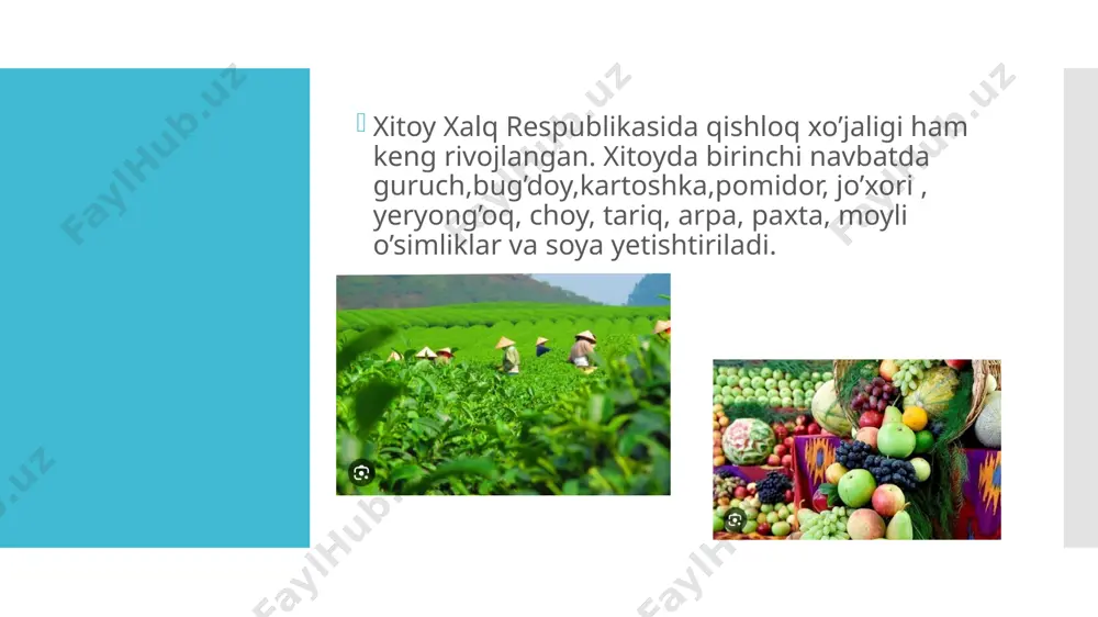 ko‘payib, jami 878 nafarga yetgan. alibaba elektron tijorat platvormasi asoschisi va egasi jyek ma 58,8 milliard dollar bilan 2020 yilda ham xitoyning birinchi raqamli boy odami bo‘lgan. ikkinchi o‘rinni esa wechat asoschisi, tescent xolding kompaniyasi direktori poni ma 57,4 milliard dollar bilan band qilgan. uchinchi o‘rin qadoqlangan suv ishlab chiqaruvchi nongfu spring kompaniyasi rahbari chjun shanshanga nasib qildi. uning boyligi 53,7 milliard dollar. foydalanilgan adabiyolar. 1) www.forumdaily.com 2) https://uz.wikipedia.or 3) https://mbaza.uz 4) https://arxiv.uz 5) https://www.spot.uz 6) https://www.ziyouz.com 7) https://kiiky.com.uz 8) https://www.pexels.com https e’tiboringiz uchun rahmat!!! image1.jpeg image2.jpeg image3.jpeg image4.jpeg image5.jpeg image6.jpeg image7.jpeg image8.jpeg image9.jpeg image10.jpeg image11.jpeg image12.jpeg image13.jpeg image14.jpeg image15.jpeg