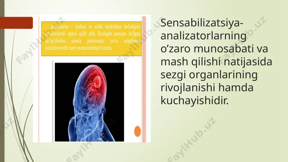 sezai hagida tushunche - Page 5