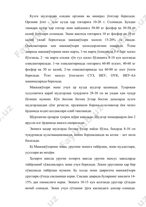уруғни тозалиги 99-99,8%, униб чиқиш даражаси 85-95% бўлиши керак. маккажўхори бахорда тупроқ харорати 100 иссиқликка етганда экилади. бундан ташқари уни ёзда такрорий экин сифатида экиш мумкин. ўзбекистоннинг жанубий вилоятларида 15-20 мартларда, тошкент, самарқанд вилоятларида ҳамда фарғона водийсида 20-25 мартларда, хоразм вилояти ва қорақолпоғистон республикасида 10 апрелда экилади. умуман ҳар бир вилоят шароитида чигитни экиш бошлангунча маккажўхорини экишни тамомлаш керак. маккажўхори кечки муддатларда экилганда уни ҳосили анча пасаяди. маккажўхори кенг қаторлаб, қатор ораси 60,70,90 см қилиб экилиб, унинг навига қараб ҳар 15,20 см оралиқда биттадан ўсимлик қолдирилади. эртапишар нав ва дурагайлар экилганда бир гектар ерда 70-80 минг ўсимлик, ўртапишар нав ва дурагайлар экилганда эса бир гектар ерда 50-55 минг ўсимлик, кечпишарларда эса 40 минг ўсимлик қолдирилади. уруғнинг экиш меъёри 15-20 кг дан 25-30 кг бўлади. в) маккажўхори экинини парвариш қилиш. экинни парвариш қилиш тупроқ қатқолоғига қарши кураш, қатор ораларини ишлаш, яганалаш, озиқлантириш, суғориш ва уруғлик учун экилган майдонларда қўшимча чанглатишдан иборат. …