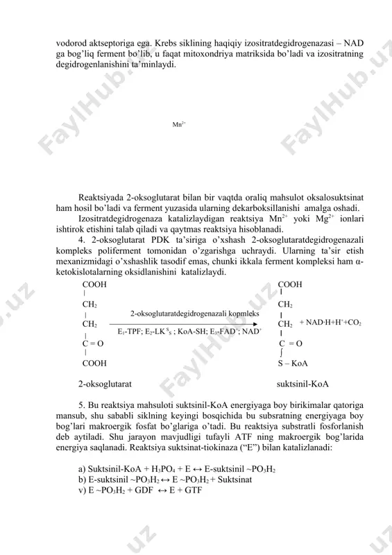 ik fosfat bo’glariga o’tadi. bu reaktsiya substratli fosforlanish deb aytiladi. shu jarayon mavjudligi tufayli atf ning makroergik bog’larida energiya saqlanadi. reaktsiya suktsinat-tiokinaza (“e”) bilan katalizlanadi: a) suktsinil-koa + h3po4 + e ↔ e-suktsinil ~po3h2 b) e-suktsinil ~po3h2 ↔ e ~po3h2 + suktsinat v) e ~po3h2 + gdf ↔ e + gtf bu reaktsiyada fosforil aktseptori gdf bo’lib hisoblanadi. shu sababli energiya oldin gtf ning fosfat bog’larida to’planadi, so’ngra mitoxondriyaning ichki membranasiga bog’langan nukleoziddifosfatkinaza fermenti yordamida gtf dan adf ga o’tadi va atf hosil qiladi: gtf + adf ↔ gdf + atf 6. suktsinat suktsinatdegidrogenaza ishtirokida o’zgarishga uchraydi. bu fermentning o’ziga xos tomoni shundaki, bunda suktsinatdan ajratiladigan elektron va protonlarning aktseptori vazifasini fad va tarkibida geminsiz fe (fes) bo’lgan temiroltingugurt proteid bajaradi. fes proteid suktsinatdegidrogenaza subbirliklari bilan bog’langan. bundan tashqari u krebs siklining mitoxondriya ichki membranasi bilan bog’langan yagona fermenti hisoblanadi. suktsinatning degidrogenlanishida elektronlar fes proteidning geminsiz temiri orqali bu reaktsiyaning …
