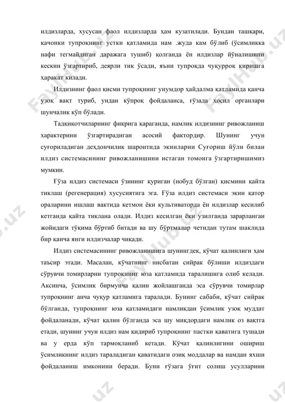 ор катта таъсир кўрсатади, яъни фаол илдизчаларнинг кўплаб пайдо бўлишини тезлаштиради. поя - асосий ўқ илдизнинг юқори қисми илдиз бўгзи орқали асосий пояга туташади. етук ўсимликда асосий поя икки кисмдан иборат: 1) қуйи калта қисми — бу илдиз бўғзи билан уруғбарг жойлашган оралиқ;; 2) юқориги узун қисми — бунга поянинг уруғбарг жойлашган еридан юкори қисми киради. қуйи калта қисмини уруғбаргости т и р с а г и ёки гипокотиль, юқориги узун қисмини эса уруғбарг устки қисми ёки эпикотиль деб аталади. уруғбарг ости тирсагида ҳеч қандай чинбарг ва шох бўлмайди, поянинг уруғбарг устки кисмида эса чинбарг бўлиб, барг қўлтиғидан шохлайди. етук ўсимликдаги асосий поянинг бўйи ғўзанинг бир йиллик ёки кўп йиллилигига, тур ва навига, ўсиш шароитига қараб бир неча сантиметрдан бир неча метргача боради. тропик минтақаларда ёввойи ва маданий ҳолда ўсадиган кўп йиллик ғўзаларнинг ёйилиб ўсадиган айрим дарахтсимон турларининг бўйи ёшига қараб 5—7 м, ҳатто 10—12 м гача етади. адабиётларда 40 …
