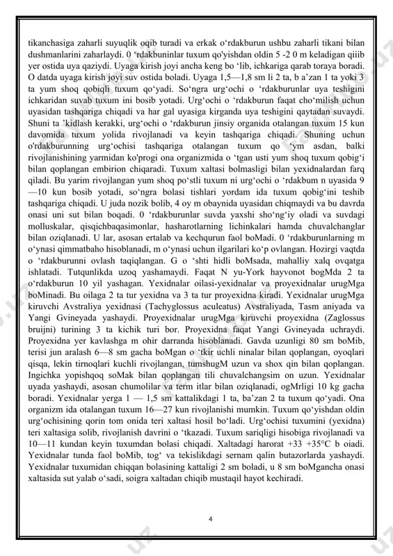 ovqatga ishlatadi. tutqunlikda uzoq yashamaydi. faqat n yu-york hayvonot bogmda 2 ta o‘rdakburun 10 yil yashagan. yexidnalar oilasi-yexidnalar va proyexidnalar urugmga bominadi. bu oilaga 2 ta tur yexidna va 3 ta tur proyexidna kiradi. yexidnalar urugmga kiruvchi avstraliya yexidnasi (tachyglossus aculeatus) avstraliyada, tasm aniyada va yangi gvineyada yashaydi. proyexidnalar urugmga kiruvchi proyexidna (zaglossus bruijni) turining 3 ta kichik turi bor. proyexidna faqat yangi gvineyada uchraydi. proyexidna yer kavlashga m ohir darranda hisoblanadi. gavda uzunligi 80 sm bomib, terisi jun aralash 6—8 sm gacha bomgan o ‘tkir uchli ninalar bilan qoplangan, oyoqlari qisqa, lekin tirnoqlari kuchli rivojlangan, tumshugm uzun va shox qin bilan qoplangan. ingichka yopishqoq somak bilan qoplangan tili chuvalchangsim on uzun. yexidnalar uyada yashaydi, asosan chumolilar va term itlar bilan oziqlanadi, ogmrligi 10 kg gacha boradi. yexidnalar yerga 1 — 1,5 sm kattalikdagi 1 ta, ba’zan 2 ta tuxum qo‘yadi. ona organizm ida otalangan tuxum 16—27 kun rivojlanishi mumkin. …