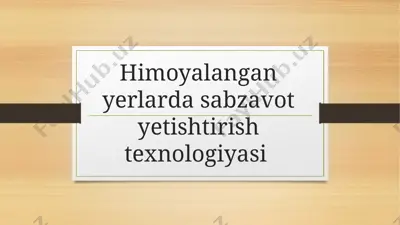 himoyalangan yerlarda sabzavot yetishtirish texnologiyasi — PPTX