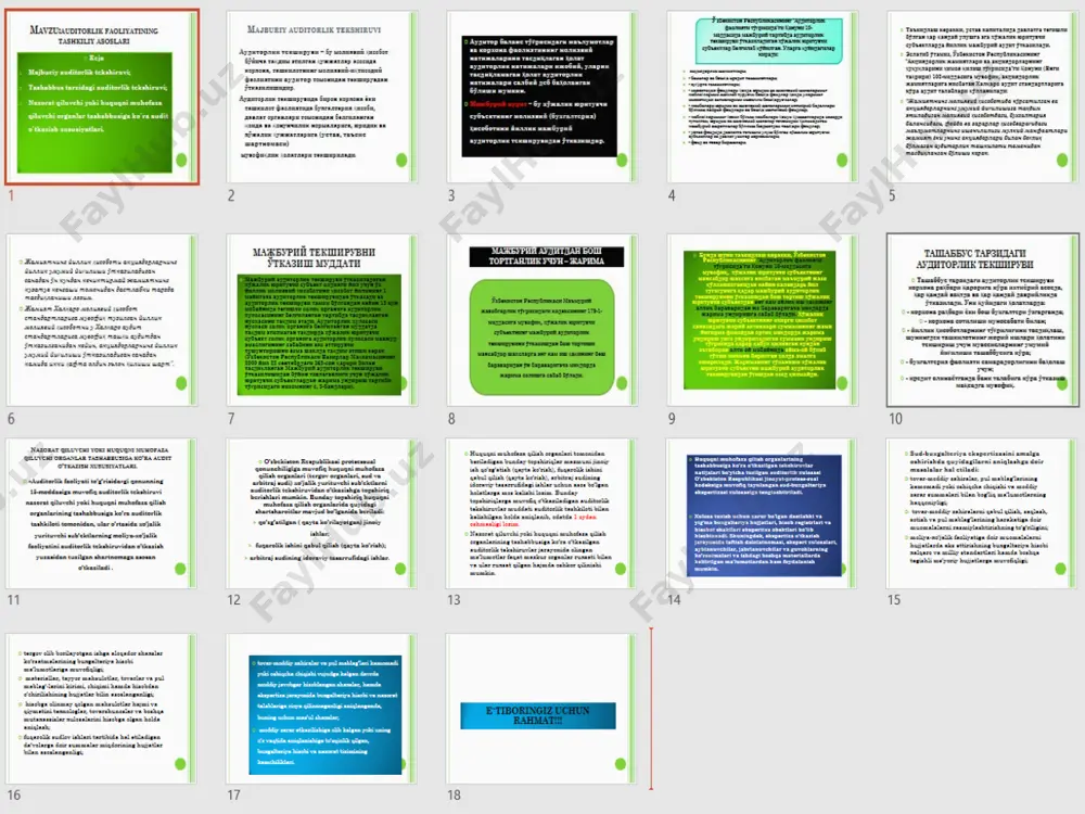 auditorlik faoliyatining tashkiliy asoslari - Page 2