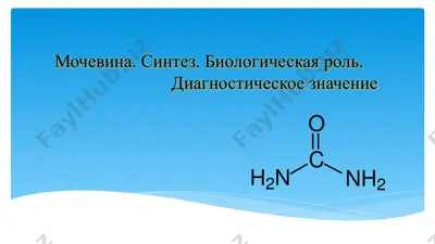 мочевина. синтез. биологическая роль. диагностическое значение — PPTX