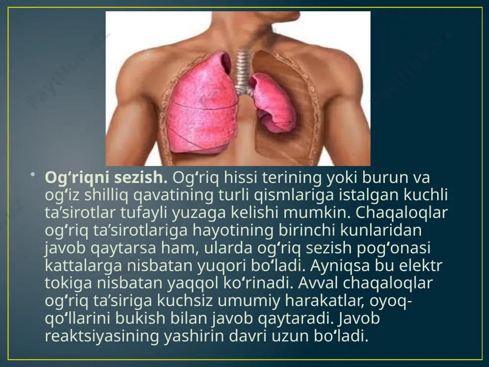 bemorni tekshirayotganida, kuyish darajasini aniqlash uchun ignasimon narsani sanchib ko’radi. agar bemor og’riqni sezsa, shifokor hursand, chunki bu narsa kuyish terining yuza qismida ekanini va og’riq reseptorlari hali zararlanmaganini ko’rsatadi. mabodo bemor hech qanday og’riqni sezmasa, bu kuyish terining ichiga ham o’tganini va undagi og’riq reseptorlari o’lganini bildiradi. quyidagi oyatda qur’on terida og’riq reseptorlari borligini ochiq-oydin ko’rstadi: “oyatlarimizga kufr kеltirganlarni, albatta, do’zaxga kiritamiz. qachonki, tеrilari yetib pishganda, azobni tortishlari uchun boshqa tеri almashtiramiz. albatta, alloh aziz va hakim zotdir.” (qur’on 4:56) tailanddagi chiang mai universiteti anatomiya bo’limi rahbari professor tagatat tejasen og’riq reseptorlarini o’rganishga uzoq vaqt sarf etdi. qur’onda bu ilmiy fakt bundan 1400 yil ilgari aytib qo’yilganiga dastlab ishona olmadi. keyinroq, u qur’ondagi ushbu oyatning tarjimasi bilan tanishgach, undagi ilmiy daqiqlikni ko’rib juda tasirlandi. saudiya arabistonining riyod shahrida qur’on va sunnatdagi ilmiy mo’jizalar mavzusida bo’lib o’tgan 8-tibbiyot anjumanida u quyidagini faxr bilan e’lon qildi: “allohdan o’zga iloh yo’q va …