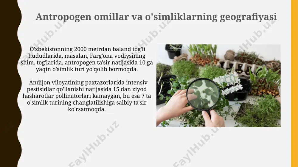o'simliklar geografiyasi asoslari - Page 5