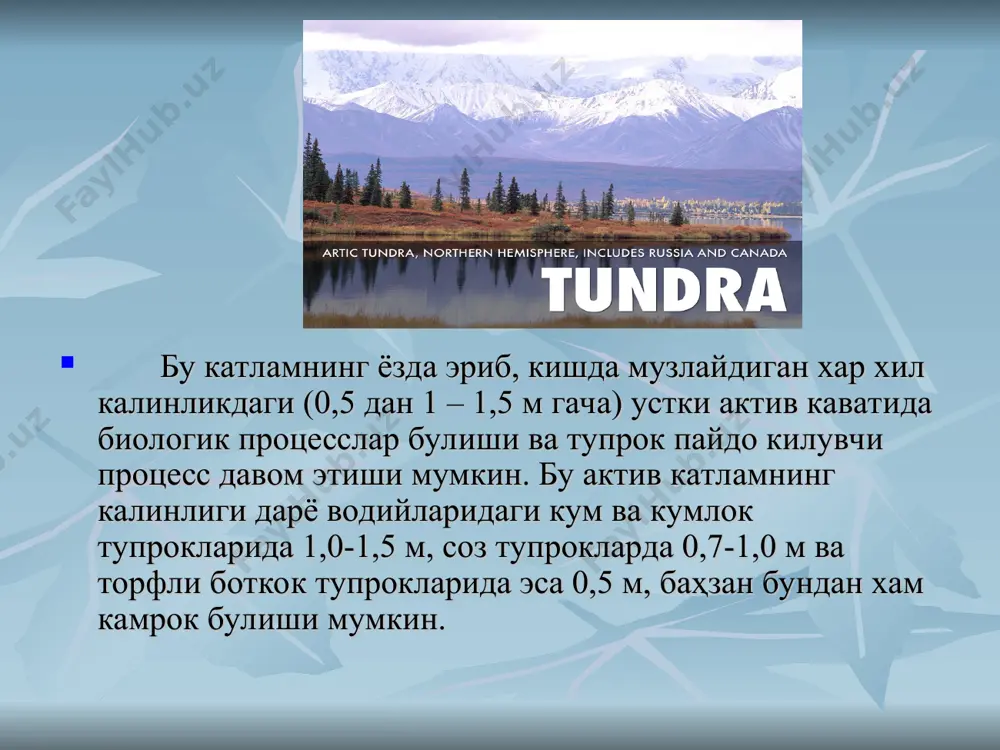 tundra - Page 5