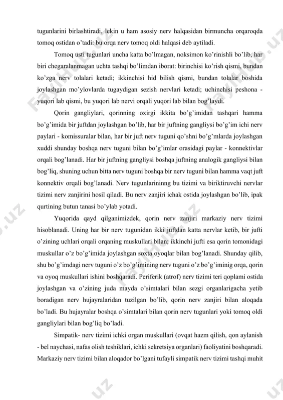 erv zanjirining birinchi jufti hisoblanadi. ikkinchisi jufti tomoqning ustida joylashgan bo’lib, tomoq usti nerv tuguni deyiladi. bu ikki juft nerv tugunlari tomoqni aylanib o’tadigan kommissuralar orqali o’zaro birlashgan: bu ikki juft nerv tugunlarini birlashtirib tomoq oldi nerv halqasini hosil qiladigan komissuralardan tashqari yana bitta komissura bor, bu komissura tomoq usti tugunlarini birlashtiradi, lekin u ham asosiy nerv halqasidan birmuncha orqaroqda tomoq ostidan o’tadi: bu orqa nerv tomoq oldi halqasi deb aytiladi. tomoq usti tugunlari uncha katta bo’lmagan, noksimon ko’rinishli bo’lib, har biri chegaralanmagan uchta tashqi bo’limdan iborat: birinchisi ko’rish qismi, bundan ko’zga nerv tolalari ketadi; ikkinchisi hid bilish qismi, bundan tolalar boshida joylashgan mo’ylovlarda tugaydigan sezish nervlari ketadi; uchinchisi peshona - yuqori lab qismi, bu yuqori lab nervi orqali yuqori lab bilan bog’laydi. qorin gangliylari, qorinning oxirgi ikkita bo’g’imidan tashqari hamma bo’g’imida bir juftdan joylashgan bo’lib, har bir juftning gangliysi bo’g’im ichi nerv paylari - komissuralar bilan, har bir juft …