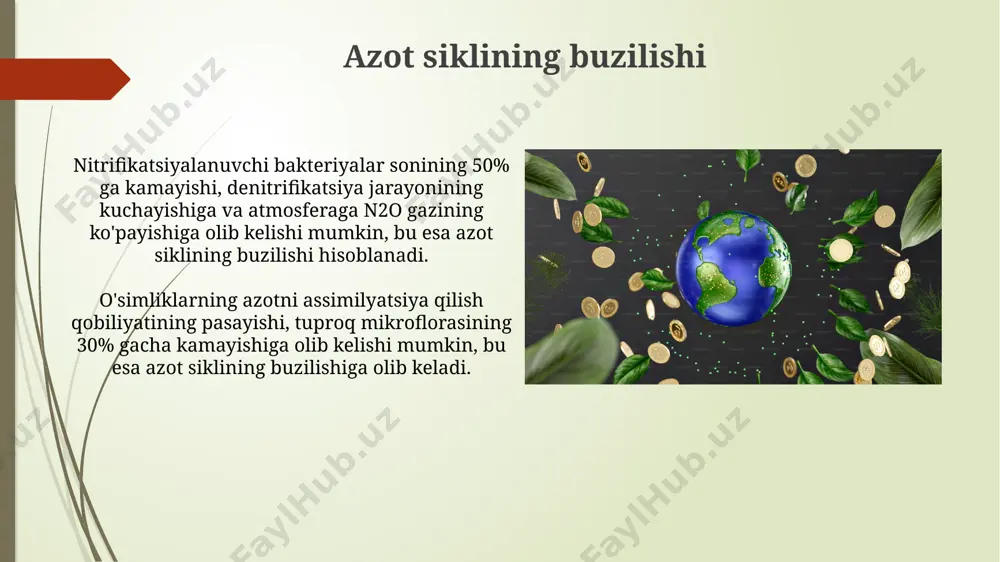iga olib keladi. nitrifikatsiyalanuvchi bakteriyalar kabi mikroorganizmlar tuproqdagi ammiakni nitratga aylantirishda muhim rol o'ynaydi, bu jarayon o'simliklar uchun o'zlashtiriladigan azot manbasini ta'minlaydi. o'simliklar va mikroorganizmlar o'rtasidagi munosabat mikoriza zamburug'lari o'simlik ildizlariga yopishib, ularning tuproqdagi 50% gacha suv va 80% gacha mineral o'g'itlar, shu jumladan azotni olishini yaxshilaydi. o'simliklar azotni tuproqdagi mikroorganizmlar yordamida, xususan, 10 dan ortiq bakteriya turlari orqali o'zlashtiradi, bu jarayon nitratlarning assimilyatsiyasi deb ataladi. nitrifikatsiya jarayoni nitrifikatsiyaning optimal ph darajasi 7,5-8,5 oraligʻida boʻlib, bu jarayon tuproqning havo oʻtkazuvchanligiga va organik moddalarning mavjudligiga bogʻliq, odatda 20-30°c haroratda eng faol boʻladi. nitrifikatsiya jarayoni, 1g tuproqda millionlab bakteriyalar ishtirokida amalga oshirilib, oʻsimliklar uchun muhim ozuqa boʻlgan nitratning hosil boʻlishiga olib keladi va azotning oʻsimliklar tomonidan oson oʻzlashtirilishini taʼminlaydi. mikroorganizmlarning roli denitrifikatsiya jarayonida pseudomonas va bacillus kabi bakteriyalar nitratni gazsimon azotga qaytaradi, bu azot aylanishining yopilishini ta'minlaydi va muvozanatni saqlaydi. azot fiksatish jarayonida 30 dan ortiq turdagi bakteriyalar, masalan, rhizobium va azotobacter …
