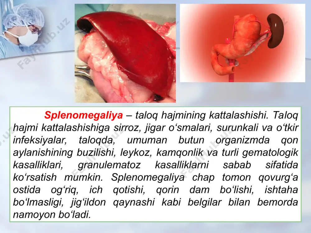 taloqning tug‘ma anomaliyalari o‘smalari. timusning rivojlanishidagi buzilishlar - Page 4