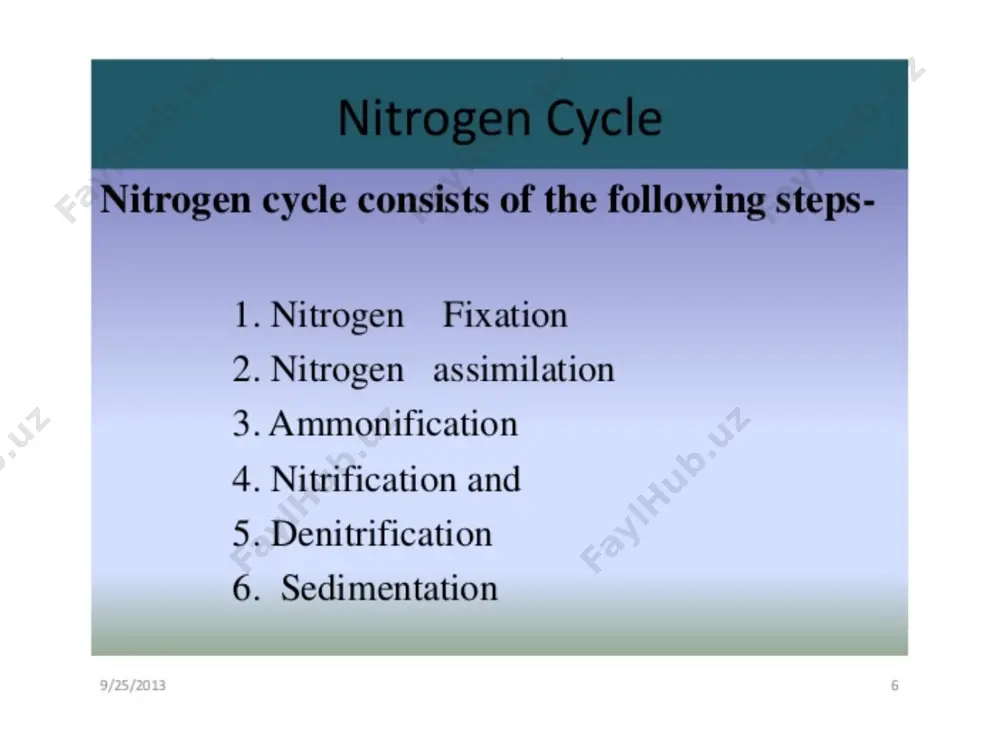 nitrogen cycle - Page 5