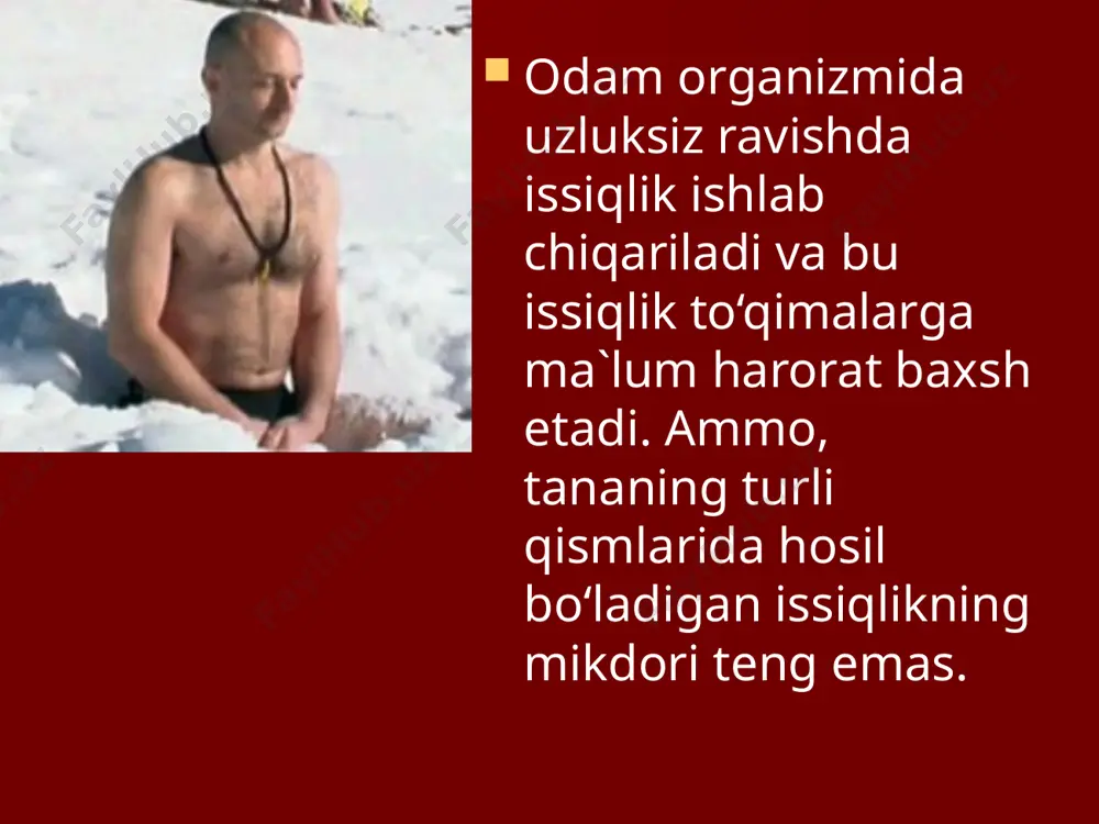 i ritmik muskul faolligini oshirish (titrash, qaltirash). qaltirash issiklik hosil bo‘lishini 200% ko‘paytira oladi. 3. almashinuv jarayonlarini jadallashtirish (betitrov termogenez). betitrov termogenezni yangi tug‘ilgan bolalarda va sovuqqa moslashgan mayda hayvonlarda kuzatish mumkin. kimyoviy termoregulyatsiya sovuq harorat ta`siriga javoban organizmda issiqlik hosil kilishini kuchaytirishdir. bunga erishish yo‘llari yuqorida bayon etilgan. fizikaviy termoregulyatsiya tanadan issiqlik ajralishi jadalligini o‘zgartirish yo‘li bilan amalga oshadi. tashqi muhit harorati yuqori bo‘lganda fizikaviy termoregulyatsiyaning ahamiyati oshadi. fizikaviy termoregulyatsiya asosan issiklikni yo‘qotishdan iborat tana issiqlikni: 1. utkazish; 2. kovektsiya; 3. nurlanish; 4. bug‘lanish yo‘li bilan yo‘qotishi mumkin. markaziy termoreseptorlar gipotalamusning preoptik sohasida, oraliq miyaning tursimon formatsiyasida va orqa miyada joylashgan. gipotalamik neyronlarning harorat o‘zgarishlariga sezgirligi ularni bevosita ta`sirlash yo‘li bilan isbotlangan. gipotalamus jarohatlansa, organizm o‘z haroratining doimiyligini saqlash qobiliyatini yo‘qotadi. gipotalamusning oldingi qismi fizikaviy termoregulyatsiyani nazorat qiladi. issiqlik hosil bo‘lishini va issiqlik yo‘qotilishini nazorat qiluvchi markazlarning uyg‘un faoliyat ko‘rsatishi tana harorati doimiyligini ta`minlaydi. image1.jpeg image2.jpeg image3.jpeg image4.jpeg image5.jpeg …