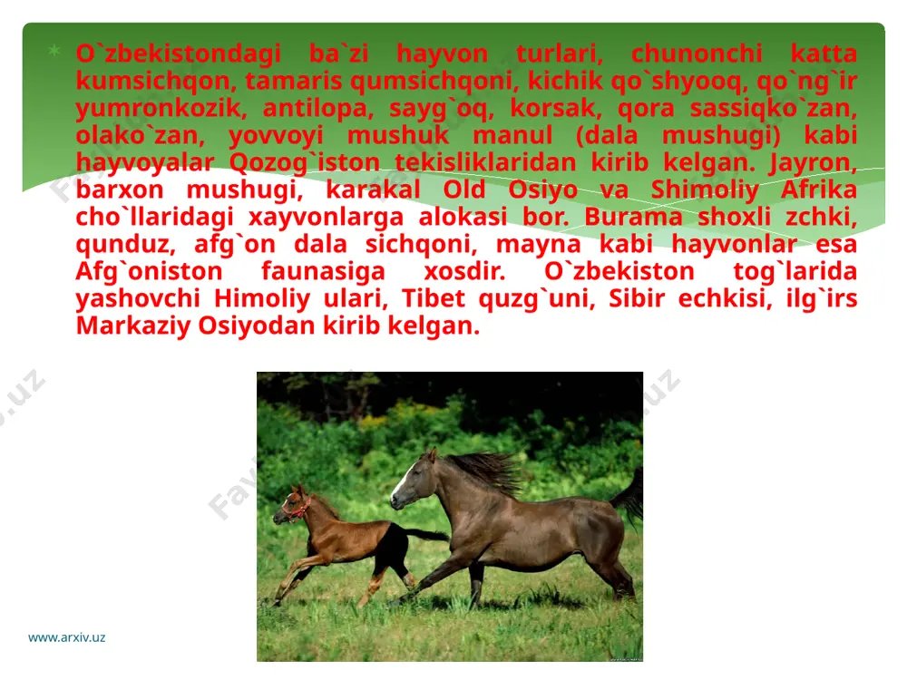 adir mintaqasi hayvonlari va ularning iqlimga moslashuvi - Page 4
