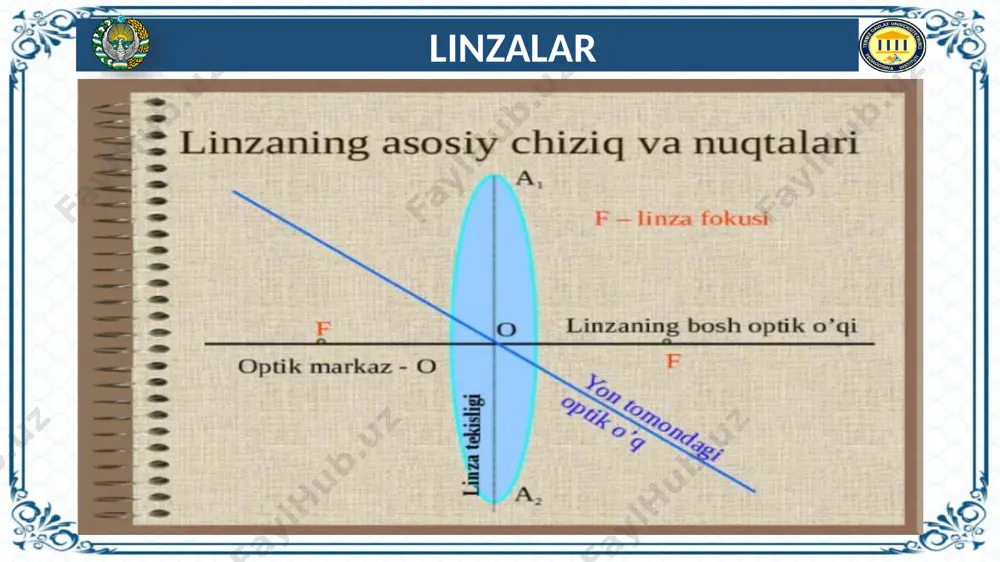 linzaning turlari - Page 4