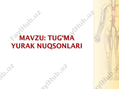 tug‘ma yurak nuqsonlari — PPT
