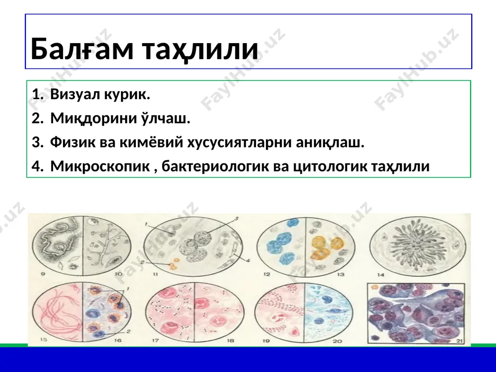 балғам таҳлили - Page 3