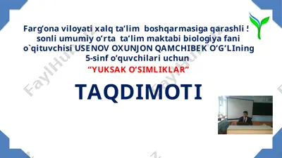 “yuksak o’simliklar” taqdimoti — PPTX