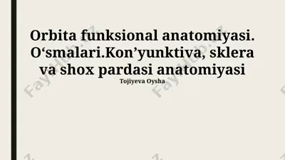 orbita funksional anatomiyasi. o‘smalari.kon’yunktiva, sklera va shox pardasi anatomiyasi — PPTX