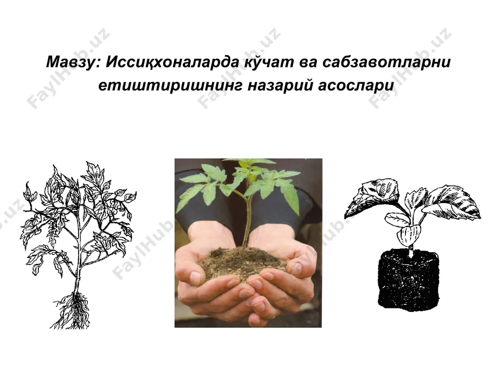 ,5, нордон аммоний молебден – 3, марганец сулфат – 2,25, натрий сулфати – 0,7, цинк сулфат – 0,7. етиштиришни умумий усуллари. 1 га очиқ ерга (55-60 минг дона) кўчат етиштириш учун 150-200 м2 плёнкали иссиқхоналар зарур. 1 га плёнкали иссқхонани 10 см қалинликда тупроқ аралашмаси билан тўлдириш учун 1000 м3 қоришма зарур. 1 м2 майдондан чиқадиган майсалар 2500–3000 донани, озиқланиш майдонига кўра чиқадиган кўчат сони 100 – 400 донани ташкил қилади. кўчат ўстиришга талаб * * етиштириш муддатлари етиштириш муддатлари ва технологиясига қараб сабзавот экинларини кўчатлари эртаги (эртаги оддий ва гул карам, эртаги помидор), ўртаги (ўртаги карам, бодринг, полиз экинлари, ўртаги помидор, қалампир, бақлажон), кечки (кечки карам, помидорни эртапишар навлари такрорий экин учун) бўлади. эртаги кўчатларни иссиқ парникларда ва иситиладиган иссиқхоналарда; ўртагилари – ярим иссиқ парникларда, иситилмайдиган ва хатарли вазиятларда қўшимча иситиш воситалари билан таъминланган плёнкали иссиқхоналарда; кечкилари – очиқ эгатларда етиштириб олинади. очиқ ер учун кўчатларни етиштириш (г.и.тараканов, н.в.борисов …
