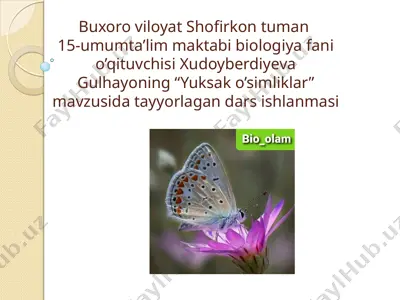 "yuksak o’simliklar" mavzusidagi dars ishlanmasi — PPTX