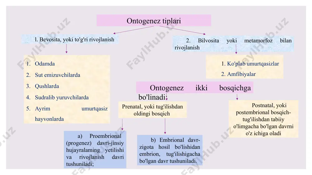 tibsiz bo'linish – kiprikli chuvalchanglar, lentasimon chuvalchanglar, zamburug' hujayralari, hasharotlar. 5. tartibii bo'linish - ayrim kovakichlilarda, ayrim halqali chuvalchanglarda ssifoid planula lichinkasi – yakkapolip – ssifistoma – strobilyasiya jarayoni – aylana disk hosil qiladi - o'q hosil bo'ladi – strobila - yosh meduza - lichinka yoki efir -paypaslagichlari va gonadalari hosil bo'ladi. tartibii bo'linish paratomiya arxitomiya jinssiz ko'payishning morfo-fiziologik asoslari 1. dezintegrasiyasi 2. integrasiyasi 3. somatik embriogenez - bitta, yoki bir nechta somatik hujayradan yangi organizm paydo bo'lishi. 4. klon - bitta hujayra, to'qima yoki organizmning jinssiz (bo'linish) yo'li bilan ko'payishi natijasida hosil qilingan individlar yig'indisi. klon grekcha clon - novda degan ma'noni bildiradi. 5. agam - tuban o'simlik va hayvonlarda urug'lanmasdan ko'payish hodisasi. agam hodisasi umurtqali hayvonlarda, jumladan, kavkaz kaltakesagida ham uchraydi. agam grekcha "a" - yo'q, "gamos" – qo'shilish degan ma' noni bildiradi. regenerasiyaning 2 turi farqlanadi (lotincha regeneratio - tiklanish ): 1. fiziologik regenerasiya. 2. reparativ regenerasiya. …