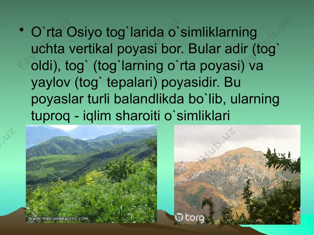 o’rta osiyo o’simliklari - tog’li va tekislik qismi misolida - Page 3