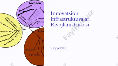 innovatsion infrastrukturalar: rivojlanish asosi — PPTX