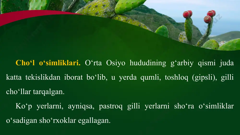 sh boshqa o‘simliklarga qaraganda ko‘p uchraydi. bu yerda boychechaklar, ayiqtovon, arpag‘on, mortuq, chitir, lolalar va boshqa ba’zi o‘simliklar o‘sadi. to‘qay o‘simliklari. o‘rta osiyoning tekislik qismidagi daryo vodiylarida, ko‘llar bo‘yida to‘qay o‘simliklari ko‘p o‘sadi. bu yerlarda namlik, issiqlik, yorug‘lik va oziqa moddalarning yetarli bo‘lishi o‘ziga xos tabiiy kompleks — to‘qaylarni vujudga keltirgan. to‘qaylarda o‘simliklarning 3 turi: daraxt, buta va o‘t o‘simliklari o‘sadi. daraxtlardan, asosan, turang‘il, tol va jiyda eng ko‘p tarqalgan. butalar yulg‘un, jing‘il va oqtikandan iborat. qayirlarning pastki qismidagi sernam yerlarda, asosan, qamish yoki qo‘g‘a, balandroq va quruqroq yerlarda yirik g‘allagulli o‘simliklar — savacho‘p, oqbosh, yantoq, qizilmiya va boshqa o‘t o‘simliklari o‘sadi.