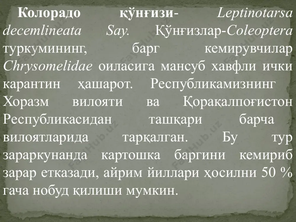 -расм). 1-расм. колорадо қўнғизи. тухумининг узунлиги 1,2-1,8 мм бўлиб чўзиқ-овал, ялтироқ, олдин сариқ, сўнгра тўқ сариқ тусда (2-расм). личинкасининг узунлиги 15-16 мм, бўртган шакилда, тўқ сариқ-қизил (3-расм). танасининг ўрта қисми олд томонидан кенг, орқа қисми учлиланган. олд елкасида кўндалангига жойлашган қора доғи бор, ёнида эса икки қатор сегмент нуқталари мавжуд. ғумбаги очиқ типда, узунлиги 10-12 мм, ранги тўқ сариқдан қизғишгача (4расм). 2-расм. колорадо қўнғизининг тухумлари. 3-расм. колорадо қўнғизининг личинкалари. 4-расм. колорадо қўнғизининг ғумбаги. биологик хусусияти. қўнғизлар озиқланган дала шароитида 20-60 см чуқурликда қишлаб қолади. баҳорда ер сатҳи 14-150 с гача қизиши билан қўнғизлар учиб чиқа бошлайди. қўшимча озиқлангандан сўнг ҳашаротлар урчийди ва урғочи қўнғизлар итузум-гулдош ўсимликларнинг барг тагига тўп-тўп қилиб 12-80 тадан тухум қўяди. ўртача бир қўнғиз 400-700 та, кўпи билан 2400 тагача тухум қўйиши мумкин. тухуми 5-17 кун ривожлангандан кейин личинка чиқади ва ўсимлик билан озиқланиб 16-34 кун ичида тўрт марта пўст ташлайди. личинкалари ерга тушиб 5-15 см чуқурликда …