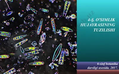 o'simlik hujayrasining tuzilishi — PPTX