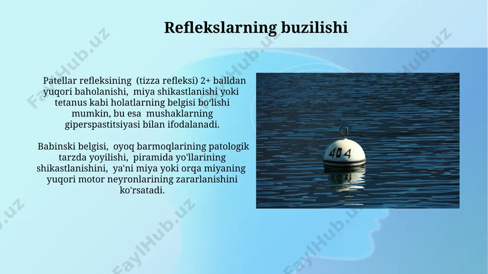 reflekslar - Page 3
