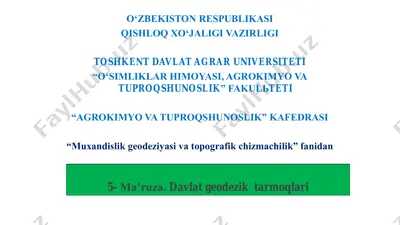 geodezik tarmoqlar rejasi — PDF