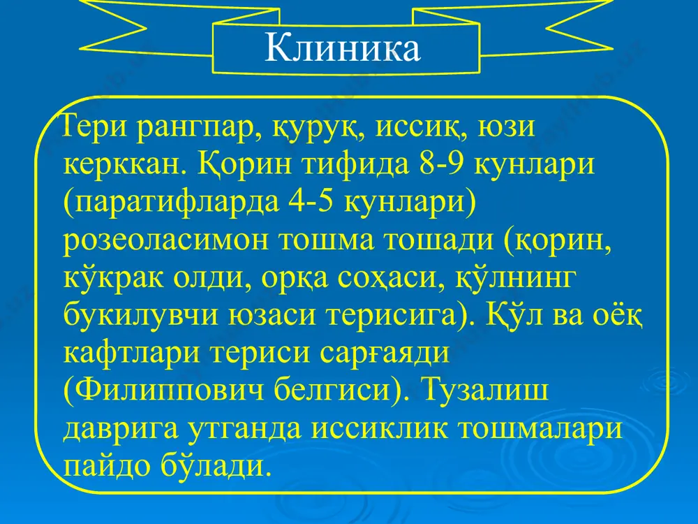 , жинсий аъзолар томонидан токсик нефрит белгилари: пешоб миқдорини камайиши, пешобда оқсил, эпителий, микрогематурия жинсий аъзоларда яллиғланиш, бола ташлаш, эркакларда импотенция белгилари ва бошқалар ривожланиши мумкин. гемограмма 1-3 кун давомида кам ифодаланган лейкоцитоз, нисбий нейтрофиллез; 4-5-кундан лейкопения, лимфоцитоз, анэозинофилия, эчт ўзгармайди. баъзида қорин тифининг рецидивлари кузатилиши мумкин. рецидивлар ривожланишига кеч госпитализация қилиш, парҳезин бузиш, ётоқ тартибидан эрта туриш, руҳий жароҳатлар, ҳамроҳ касалликлар, гиповитаминоз ва касалликнинг асоратлари сабаб бўлади. рецидивлар паратиф а бошланиши юқори нафас йўлининг шамоллаш белгилари (йўтал, бурун битиши) билан ўткир; юз териси қизарган, лабида герпетик тошма, кўз склераси қизарган; иситма ремиттирловчи типда (кильдюшев типида); титраб қақшаш, терлаш хос (баъзан); тошма 4-5 кун пайдо бўлиб, зичроқ жойлашган; касаллик ўртача оғир, оғир кўринишда кечади; ичакдан қон кетиши, ичак перфорацияси каби асоратлар кузатилади. гемограммада, баъзан лейкоцитлар сонини ортиши, лимфоцитлар сонини камайиши, эозинофиллар сонини меъёрда бўлиши кузатилади. паратиф а паратиф в касаллик клиник томондан турлича намоён бўлади; енгил, ўрта оғир, оғир, сепсис …