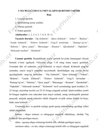 urug‘li mevalarni quritish tartibi — DOCX