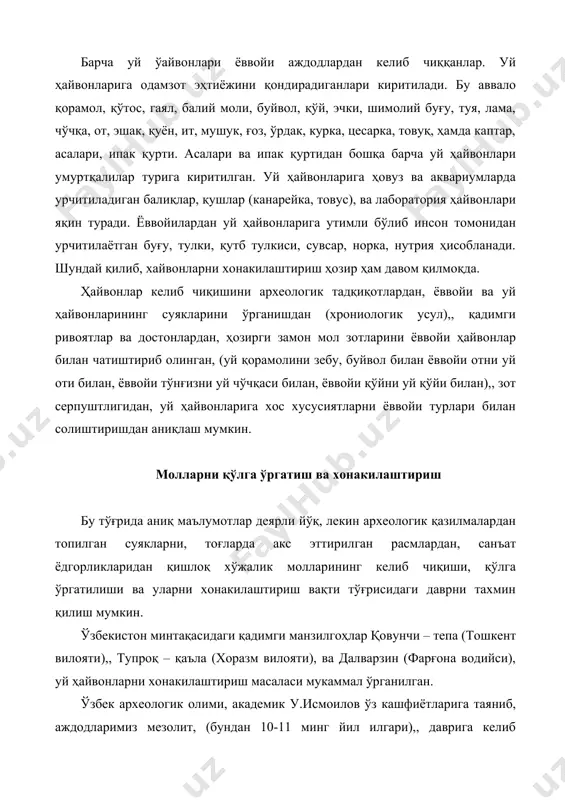 лаш билан бирга уларни қўлга ўргатишни бошлаганлар ҳамда бу даврнинг сўнгги босқичларида, ( 8-9 минг йил илгари),, эса хонакилаштирилганлар. неолит даврида, (6-7 минг йил илгари),, ўрта осиё минтақасида чорвачилик шаклланган ва ривож топган. шуни айтиш керакки, оврўпада қорамолларни қўлга ўргатиш бундан 6-7 минг йил олдин ёки ўрта осиёдан 4-5 минг йил кейин амалга оширилган, (носиров у, 2001),. уй ҳайвонларини урчитиш, аввало, эҳтимол, чегараланган миқдорда амалга оширилган бўлса керак, кейинчалик эса у хўжалик фаолиятида муҳим аҳамият касб этган. хонакилаштирилган ҳайвонлар яшаш учун одамга қатор воситалар берганлар. улар гўшт, жун, ёғ, суяк, транспорт ва ерга ишлов бериш учун уловбоп куч бўлган ва, нихоят, сўнг уй ҳайвонларининг сутидан фойдаланиш рўй берди. хонакилаштириш, шубхасиз, узоқ давом этган ва қийин жараён бҳлган ва ибтидоий одам уни қаттиқ меҳнат билан амалга оширган. қорамолни хонакилаштириш жараёнида ташқи мухит унга таъсир қилган, унинг ташқи тузилиши ва хулқ – атвори анча ўзгарган. бунга қуйидаги сабаблар таъсир кўрсатган: 1. молнинг …