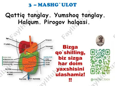 tanglay anatomiyasi va funksiyalari — PDF