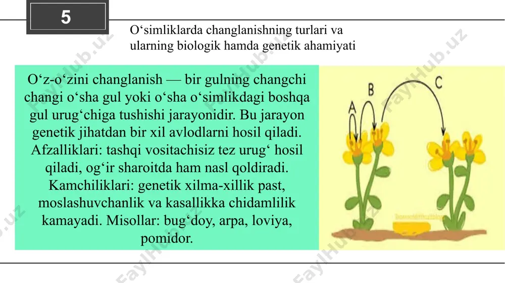 o‘simliklarni changlantirish - Page 5
