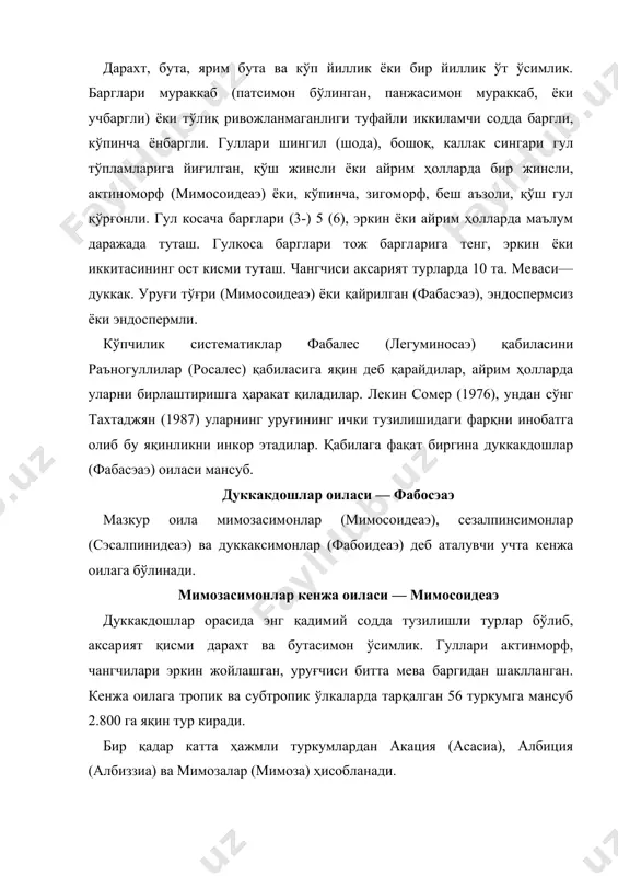 имоза) ҳисобланади. акация (аcаcиа) жуфт патсимон баргли унча катта бўлмаган дарахт, гуллари актиноморф. чангчилари оч пушти рангли. акациянинг ташки қиёфаси ниҳоятда турли-туман. австралия акацияларининг барг япроғи редукцияланган барг банди филлодийларга айланган. африка саванналари акацияларининг танаси соябонсимон шаклда. туркумга 500 га яқин ўсимлик тури мансуб. ўзбекистонда акациянинг кумуш акация (аcаcиа деалбата) деб аталадиган тури манзарали ўсимлик сифатида ўстирилади. албиция (албиcиа) жуфт патсимон баргли дарахт. туркум таркибида 100 га яқин тури бўлиб, тропик ва субтропик ўлкаларда кенг тарқалган. ўзбекистонда самарқанд, тошкент, денов шаҳарларида ленкоран албицияси (ажулибриссин) деб аталувчи тури манзарали ўсимлик сифатида ўстирилади. мимозалар (мимоса) туркумининг 350 дан ортиқ тури, асосан, жанубий америка тропикларида тарқалган. кенжа оиланинг ўзбекистонда кенг тарқалган тури жинжакдир (лагоничум фарcтум). бунинг баландлиги 30-50 см га қадар бўлган, бутача, лой тупроқли қарши ва шеробод чўлларида тарқалган. унинг илдизи ва дуккаги таркибида 12% га қадар ошловчи таннид моддаси туфайли қадимда кўнчиликда ишлатилган. табобатда дуккагидан тайёрланган қайнатма ич кетиш касалликларини даволашда …