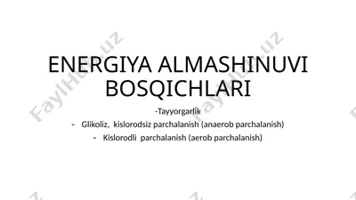 energiya almashinuvi bosqichlari — PPTX